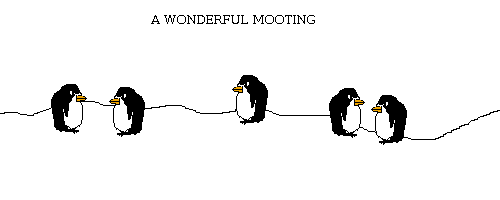 Scene: A WONDERFUL MOOTING, there are penguins all around having a good time